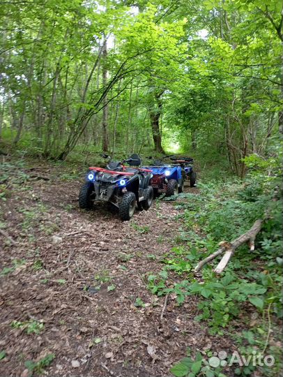 Прокат квадроциклов Адыгея