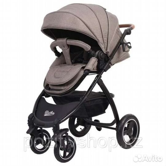 Коляска детская 2в1 Rant Alaska