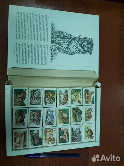 Сувенирный набор спичек