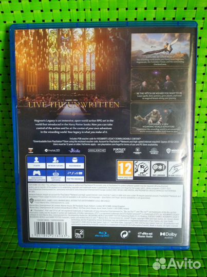 Игра для Sony PlayStation 4 Hogwarts Legacy