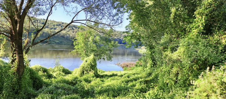 Участок 25 сот. (СНТ, ДНП)