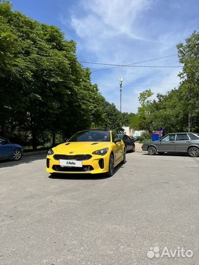 Kia Stinger 3.3 AT, 2018, 79 000 км