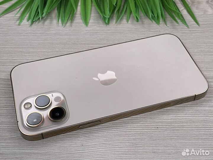 iPhone 12 Pro Max 128GB Gold