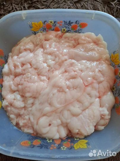 Жир Сурка
