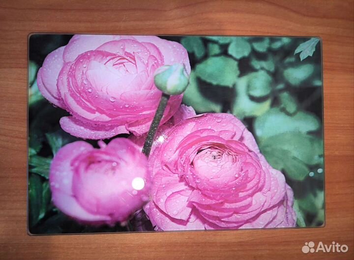 Доска разделочная 20*30 (стекло)