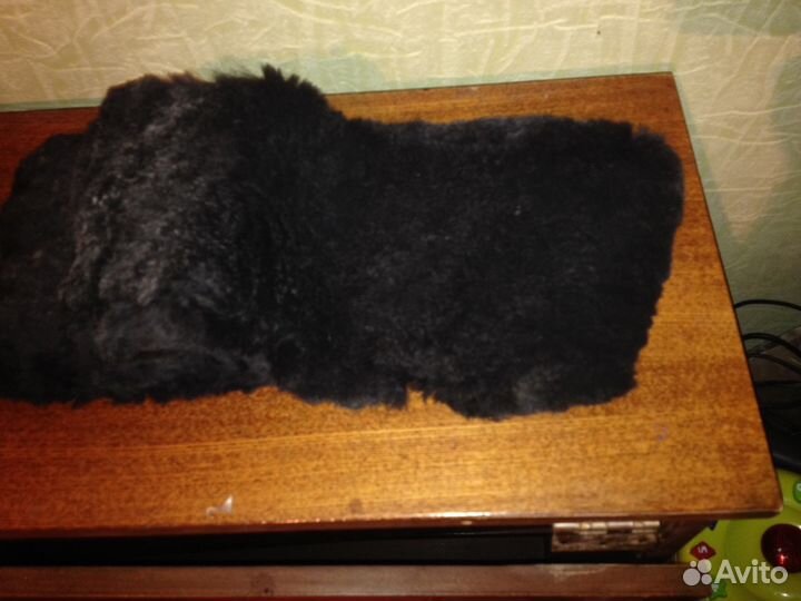 Воротники из натурального меха новые