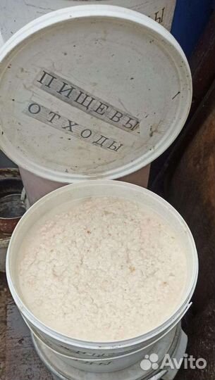 Пищевые столовые отходы