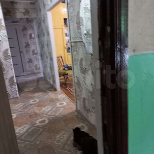 2-к. квартира, 53,1 м², 2/5 эт.