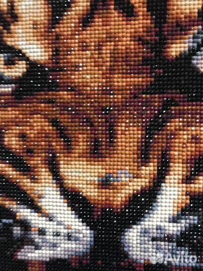 Картина тигр