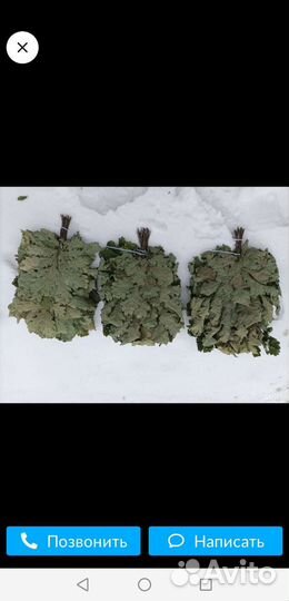 Веники для бани в ассортименте