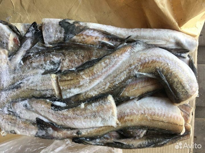 Рыба Минтай с/м потрошеный без головы тушки