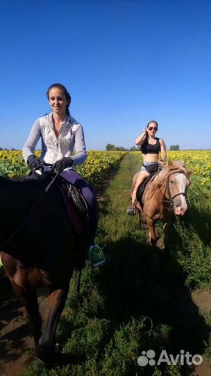 Конные прогулки
