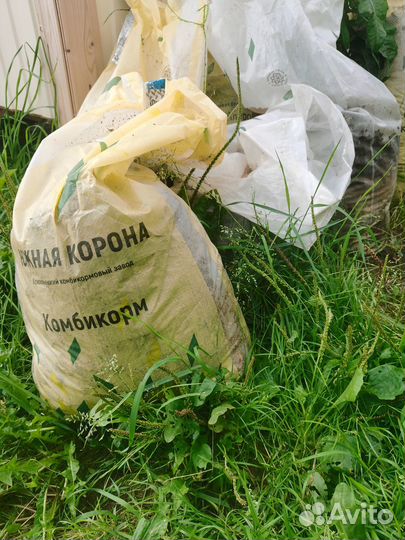 Птичий помет