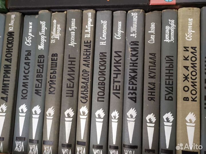 Жизнь замечательных людей 