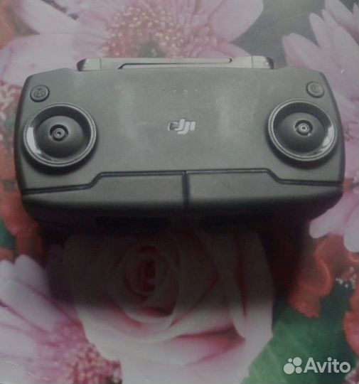 Dji mavic mini