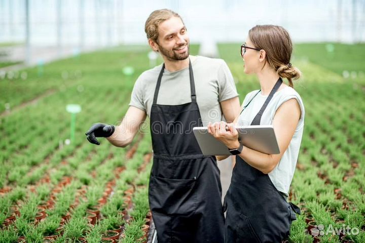 Перегной,плодородка в мешках пе Х-99.6