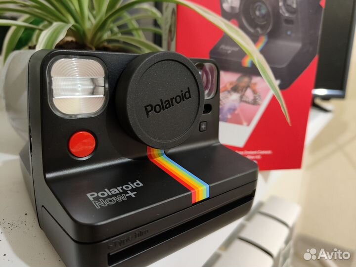 Polaroid now+