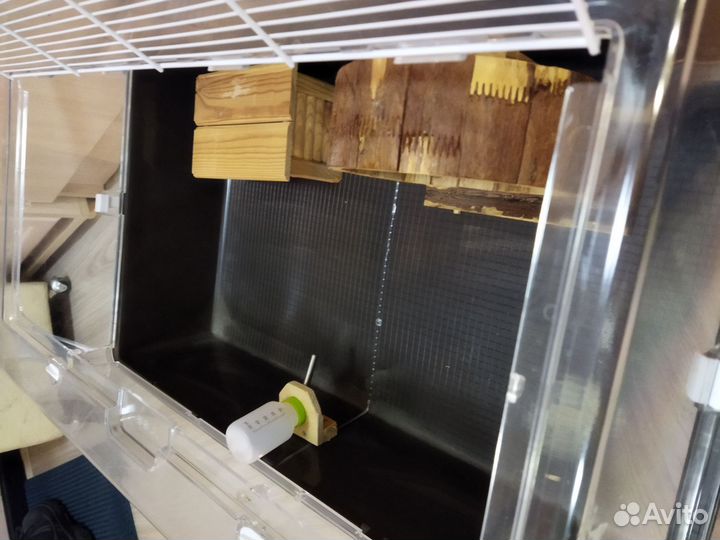 Клетка для хомяка пластиковая