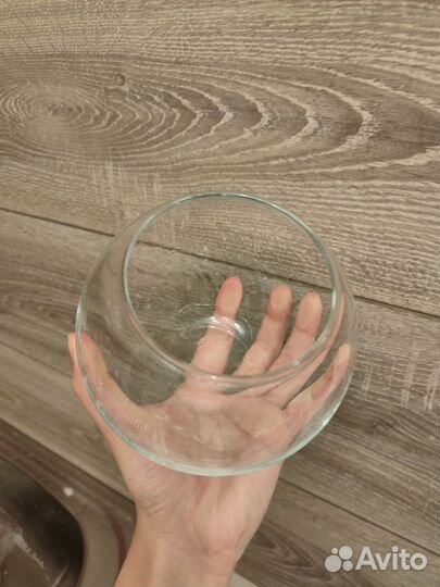 Ваза для флорариума