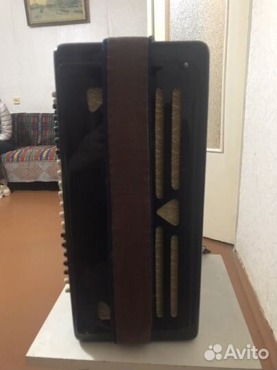 Баян волгоградский