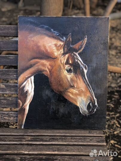 Живопись портрет лошади