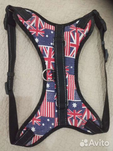 Шлейки и ошейники для собаки