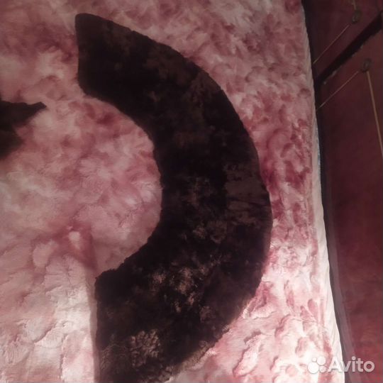 Шкурка животного