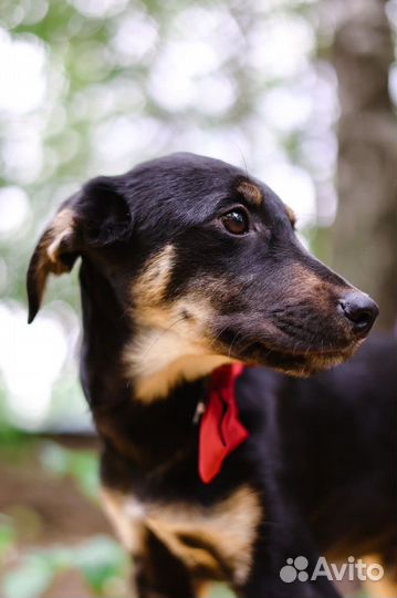 Спасите малыша