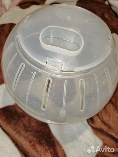 Прогулочный шар для хомяка