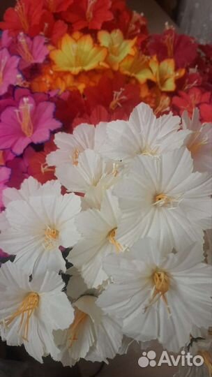 Цветы пасхальные