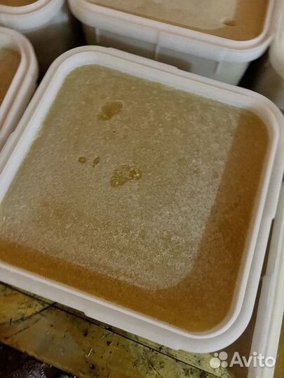 Эспарцетовый свежий мед оптом