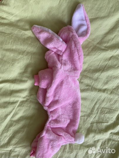 Одежда для собак мелких пород