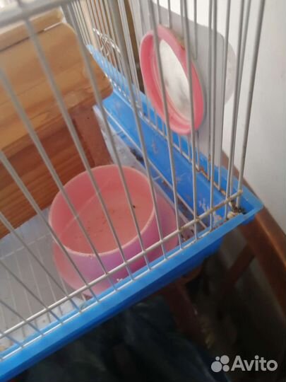 Клетка для хомяка