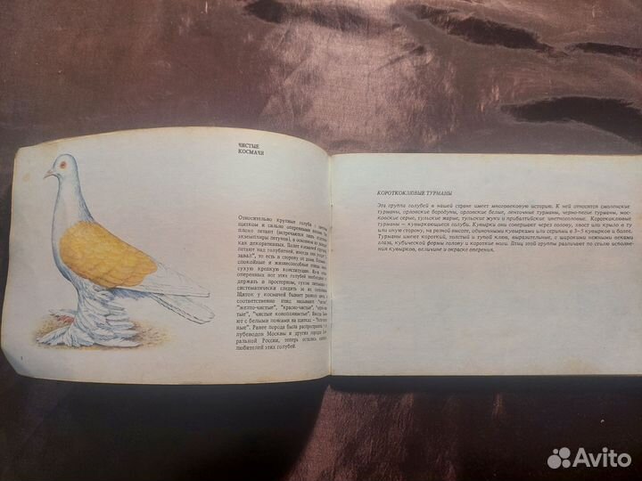 Голуби 1993 В.Романов