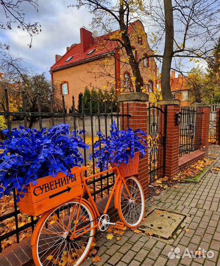 Туры в Калининград экскурсионные от 3 дней