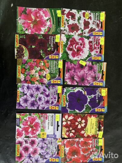 Цветы петунии, глоксинии