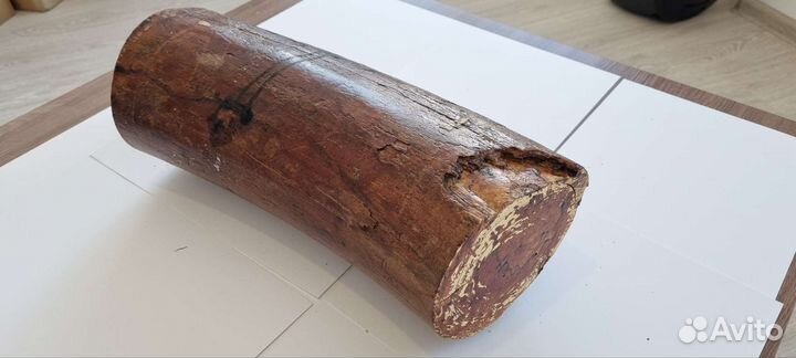 Бивень мамонта