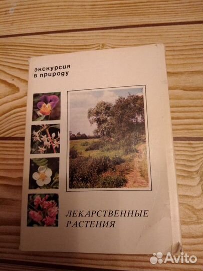 Набор открыток лекарственных растений
