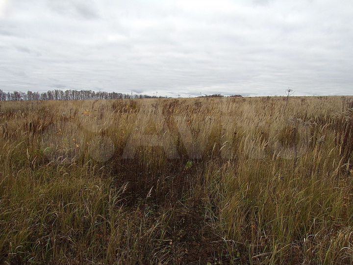 Участок 6 сот. (ИЖС)