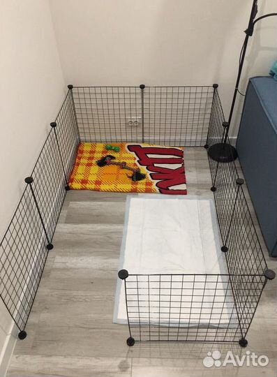 Вольер для собак в квартиру