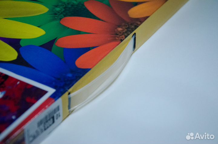 Картина по номерам 30x40 см, на подрамнике. Лев