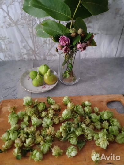 Зерно отходы пшеничные