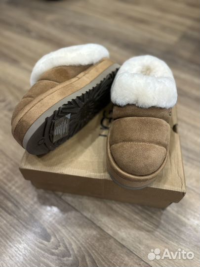 Ugg tazzlita chestnut