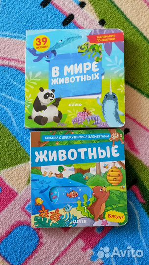 Книги с окошками