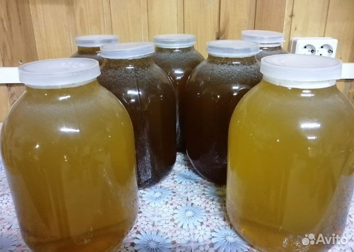 Мёд урожай 2023 цена за 3л
