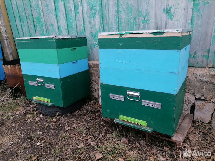 Улей для пчел бу