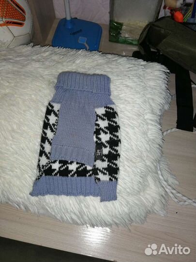 Одежда для собак мелких пород