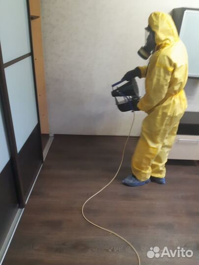 Дезинфекция