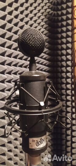 Профессиональный студийный микрофон Violet Dolly