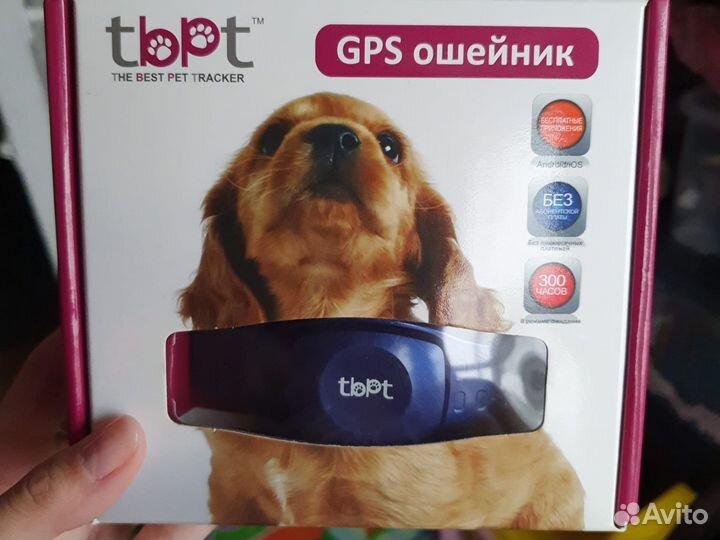 Gps ошейник